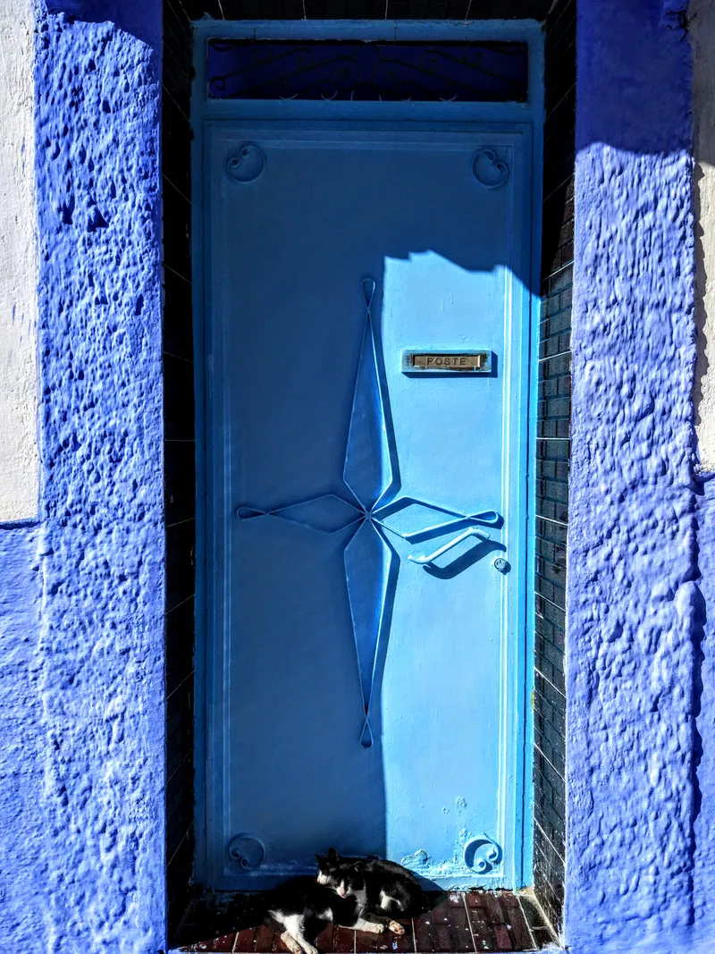 A blue doorway and cats in Chefchaouen