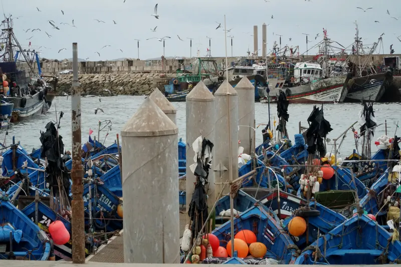 Essaouira’s harbor and boats