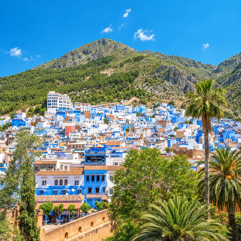 Artistic adaptation showing Chefchaouen below the Rif, with palms in front