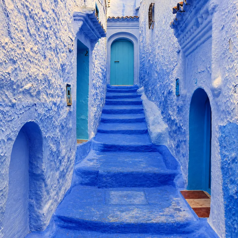 Artistic adaptation of steps and doors in a blue lane
