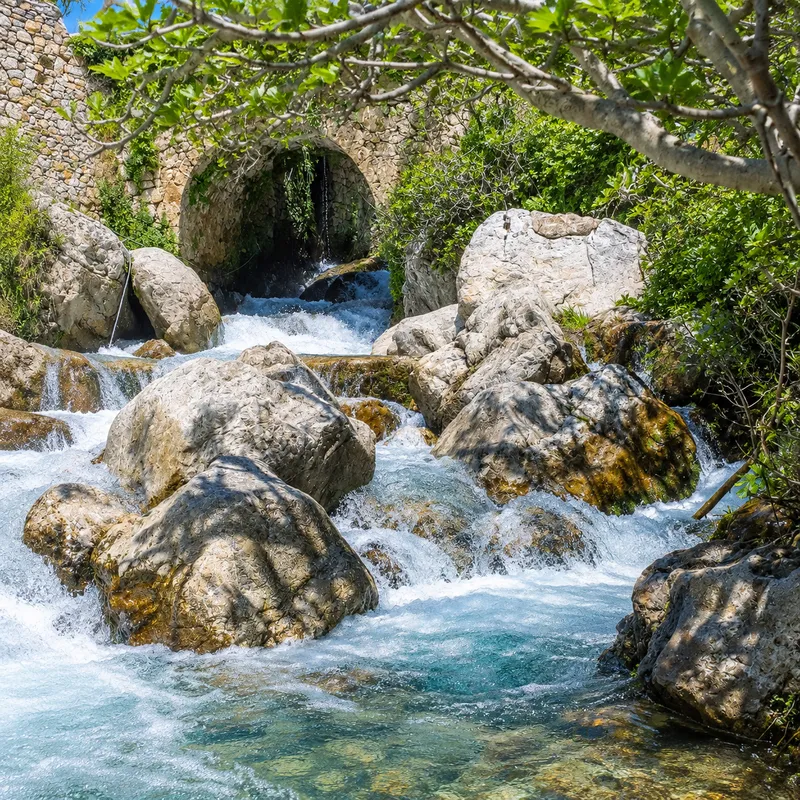 Artistic adaptation of water running between rocks and green branches