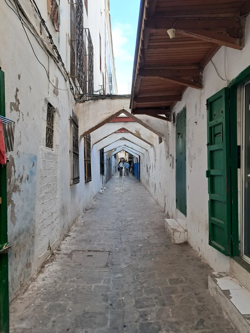 Houses and a passage in Tetouan’s medina